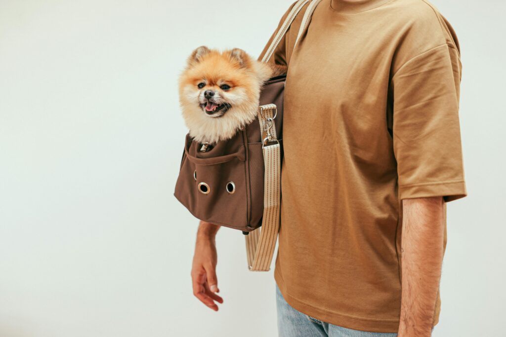 The Ultimate Guide to Dog Carrier Purses: Stylish and Functional Choices for Small Dog Owners